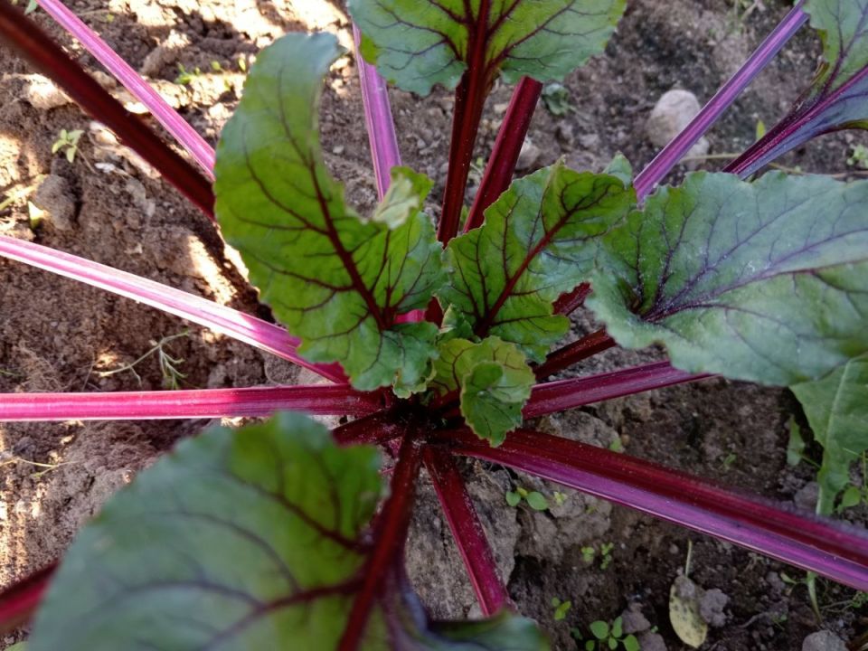 ������� ������� ������: ��� �������� ���������� ����� �����������