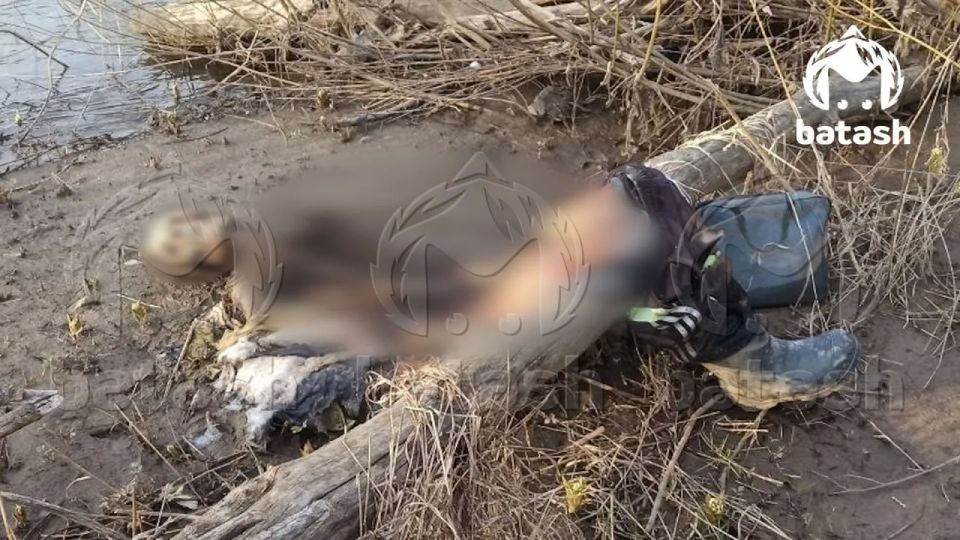 ������� ����� ������� �������� �� ���� ����