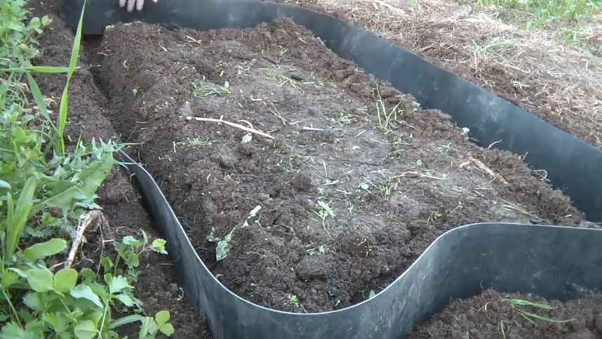 ��� ��������� ����� ������� �������� ������ � ��������