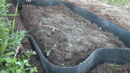 ��� ��������� ����� ������� �������� ������ � ��������