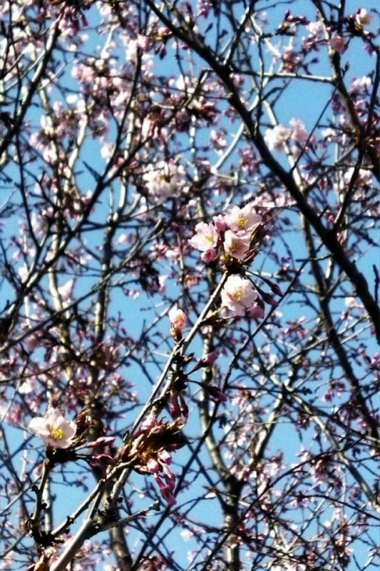 � ������������ ���� � ��� ������� ������