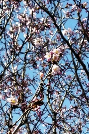 � ������������ ���� � ��� ������� ������