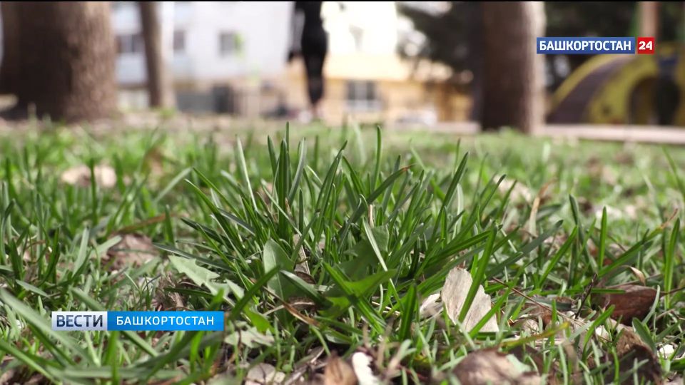 ��������� ����� � ������ ���������: ��������� ���������� � ������ � �������� �� 19 ������