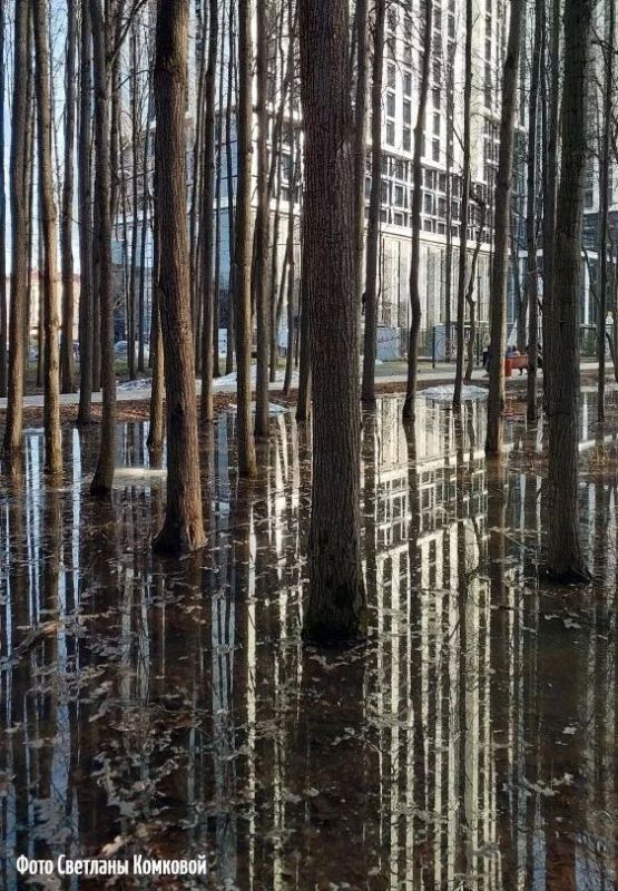 �� ������ ������������, 19 ������ �� ���������� ���������� ��������� ���������� ����������