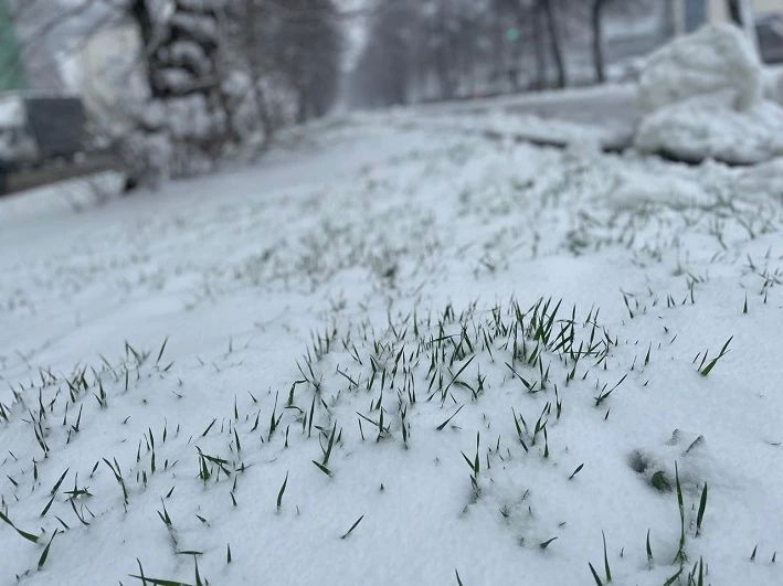 � �������� ������� ����. �� �������� ������������, ������ �� ���� ������ ����� ���������� � ���������, � � ����� 22 ������ �������� ������ ����