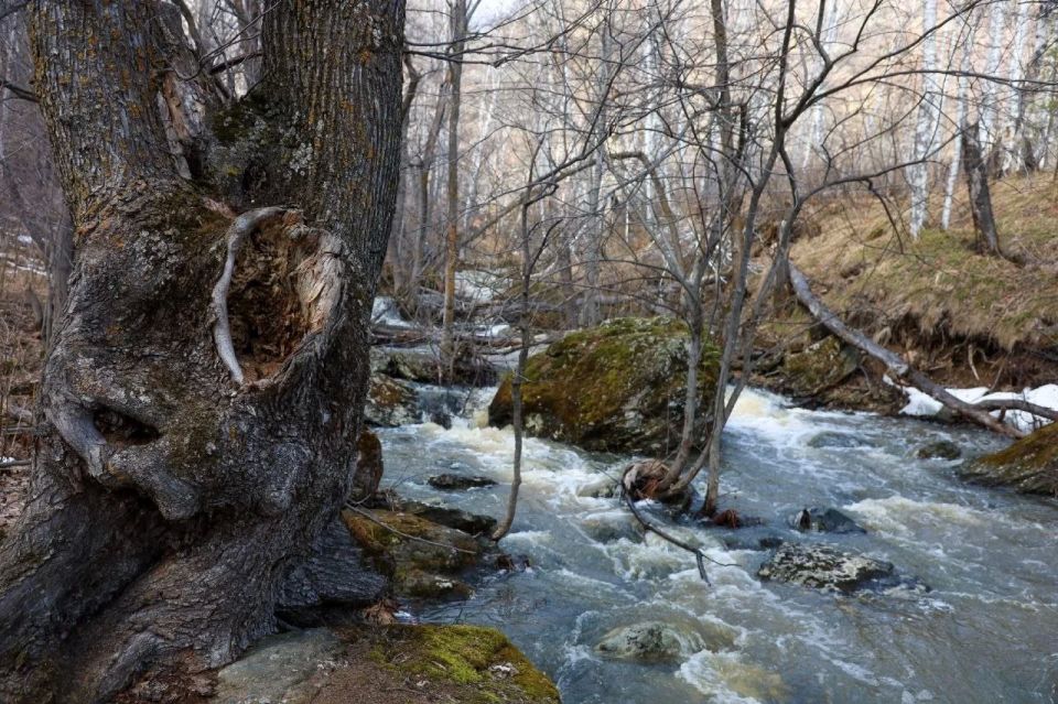 ������� �������� ����� � ������������� ������