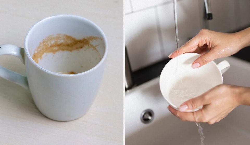 ��������� ������� ������� ����� �� ������: ������� ������� � ��������