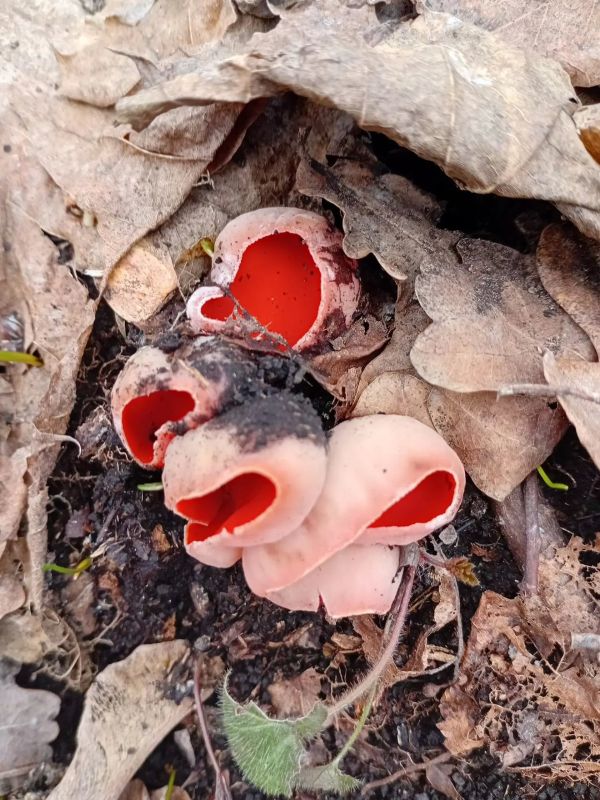 � ����� �������� �������� ���������� � ���� �� ����� ����� ������ �����