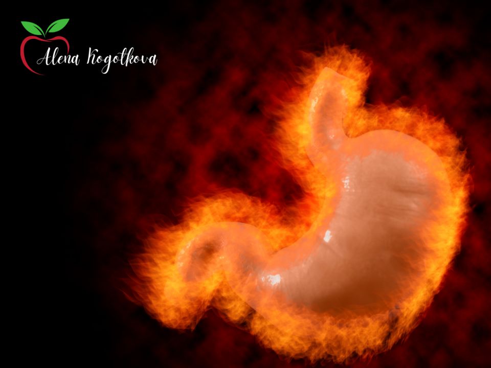 ������ ����� ��������: ��� ���������� � ����������� ����������?