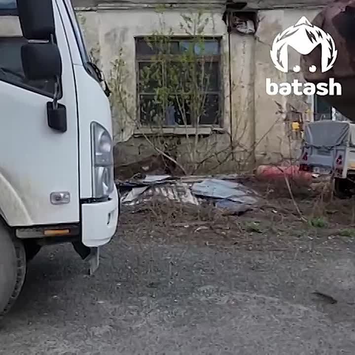 ���� ��������� �� ����� ������������� � ��� � ��������� � ����������� ������