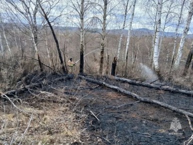 ����������� ���������� �� ��������� ��������� � ����������� �������