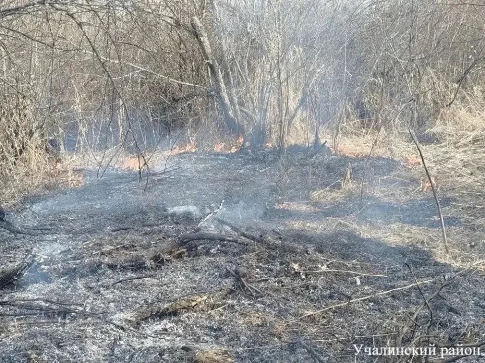 ��������� ���������� � ������������� ����������