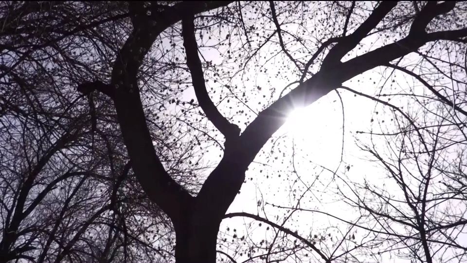 ����� �� ������ � ����� ��������� �� -5: ��������� ������������� ���� ������� �� ��������� ��� ���