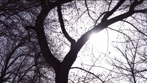 ����� �� ������ � ����� ��������� �� -5: ��������� ������������� ���� ������� �� ��������� ��� ���