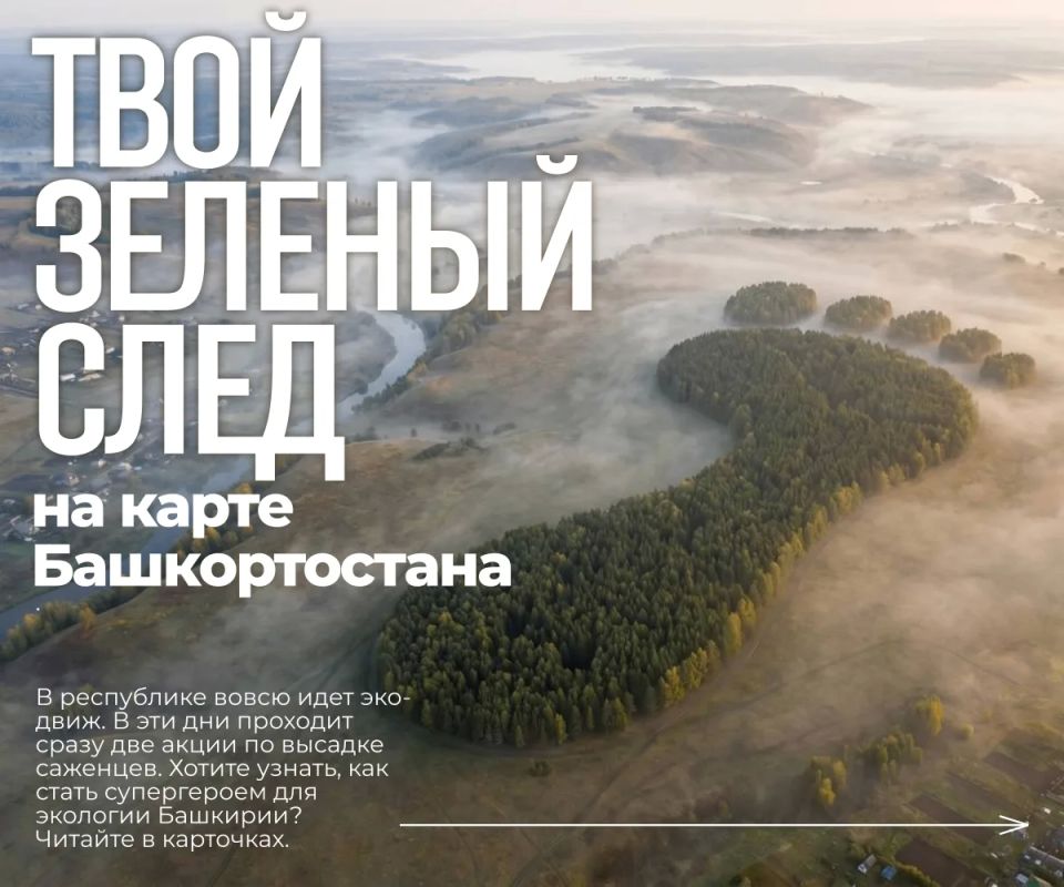 ������ ���� ������� ���� �� ����� �������������!