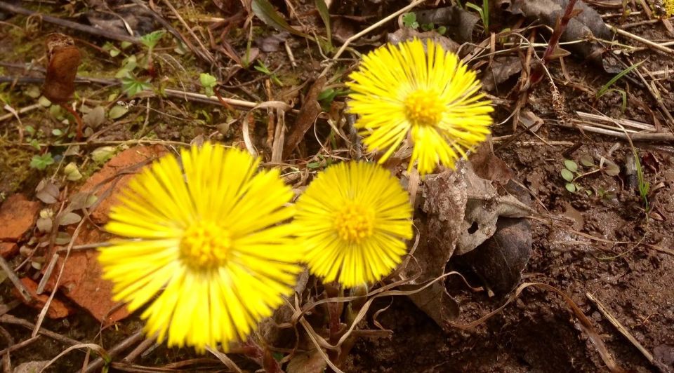 22 ������ � 17:20 �� "����� ������-������������"