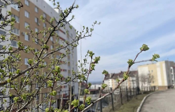 �� ������ ������������, 22 ������ �� ���������� ���������� ��������� �������� ������ � ������������