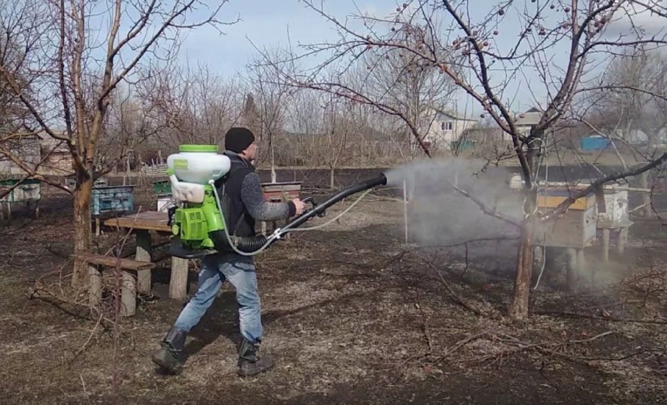 ������� ��������� ����: ������ ��� �������� ������ ������