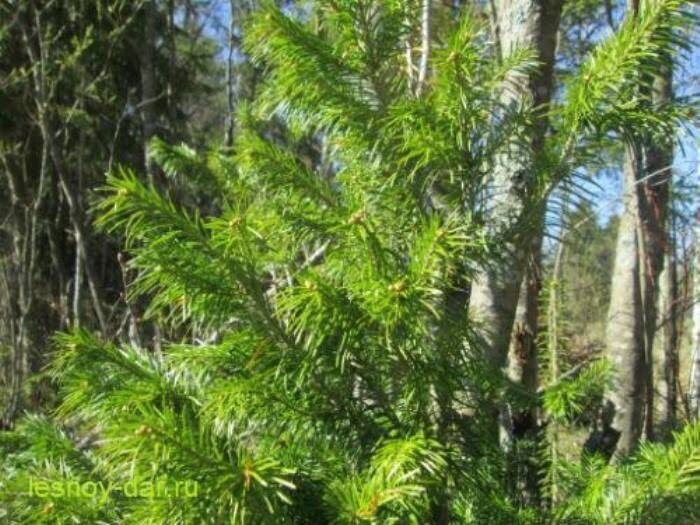 ��� ����� ��������� �������� ��������: �� ������������� �� ��������