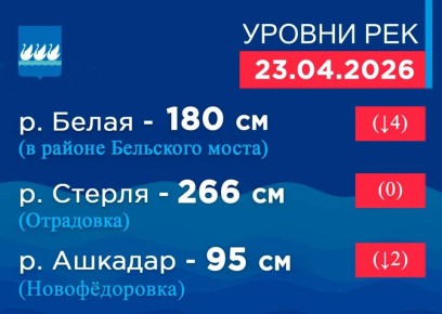 ������ ��� �� 8:00 23 ������