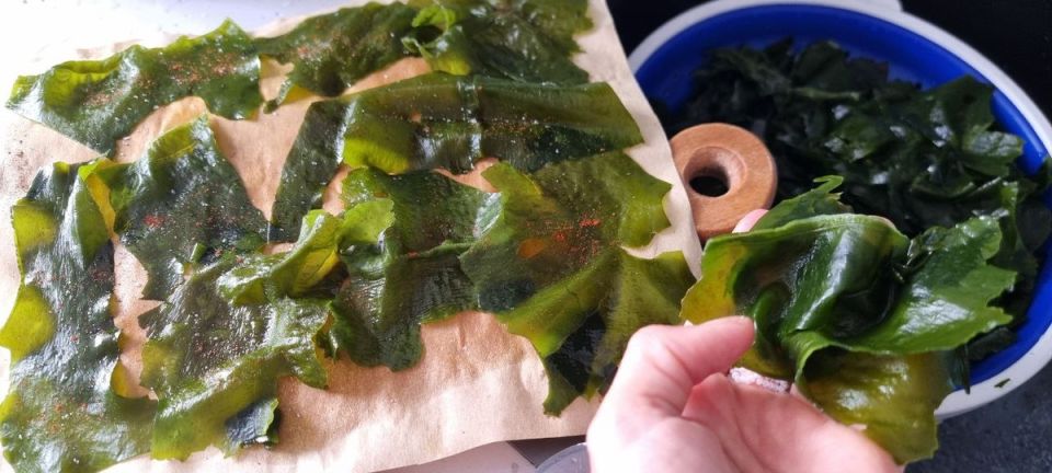 ����� ����� ��������� �����: ����� �� ���������� � ���� ���