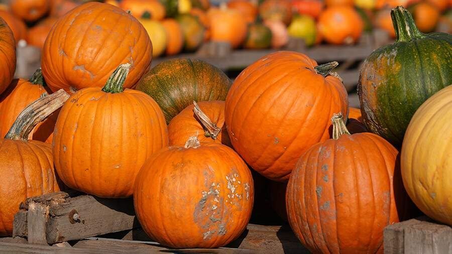 ��������� �����: ��� ������� ��������� ���� � ��������� ��� ������