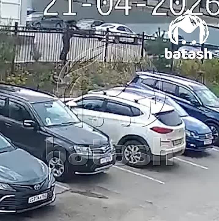 �������� ������ ��������� ����� ����� ��������� ������ � ������ ����