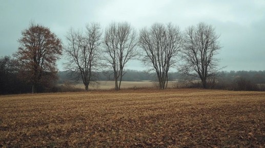 ��������� ������������ � ��������� ������