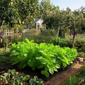 ����: ��� ������ �������� � ������� � ���������