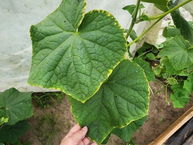 ��� ������ ������ �� �������� �����: ������ �� �����