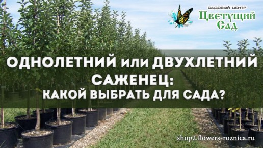 ��� ������� �������: ���������� ��� ����������?