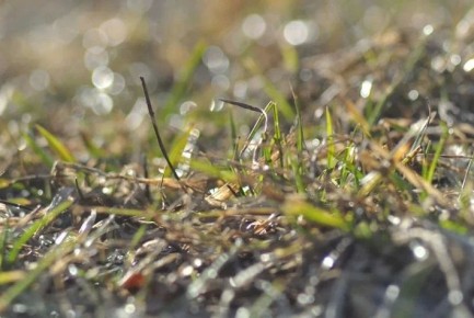 �� ������ ������������, 25 ������ �� ���������� ���������� ��������� �������� ������ � ������������