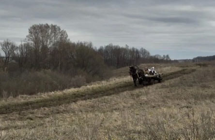 �� ������ ������������ 26 ������ �� ���������� ���������� ��������� �������� ������ � ������������