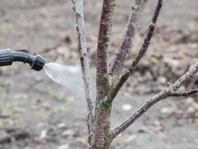 ������� ��������� ��������: ������� �������� � �������� ������