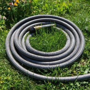 ������������� ������ �������: ��� ��� ����� ����������� ���� ����