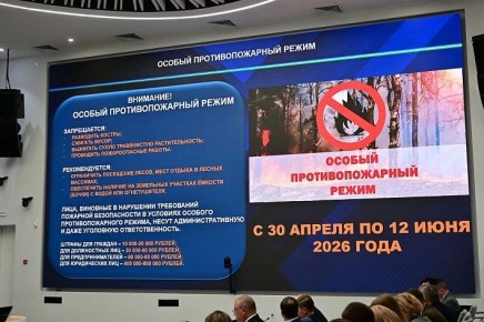 � �������� ������ ������ ��������������� �����