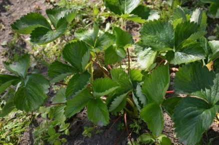 ������� ��������� ����� �� ��������� � �������: ����� �������� ������