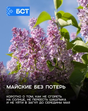 ������� ��� ������. ������� �������� � ��� �������, ��������, ������ � �����