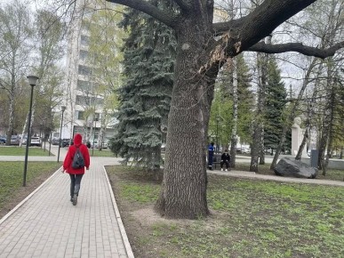 �� ������ ������������, 28 ������ �� ���������� ���������� ��������� �������� ������, ���� � ������������