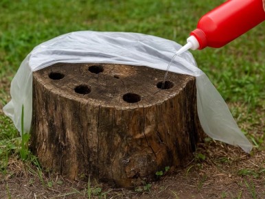 ������ �� ������ ����? �������, ��� ���������� �� ��� � ������� �������� ��������