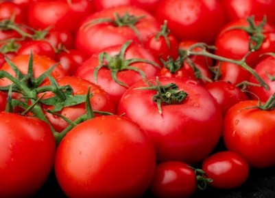 ����� ������� �������: ������ ���� ���� �������� ������ ���������� ���������