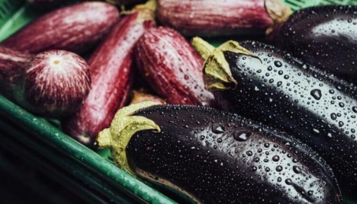 ��� ����������� ������� ����� �� ����������: ��������� ������� �� ����