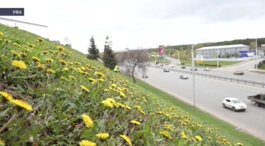 ����� ������� ������� ���������� � ������� �����������