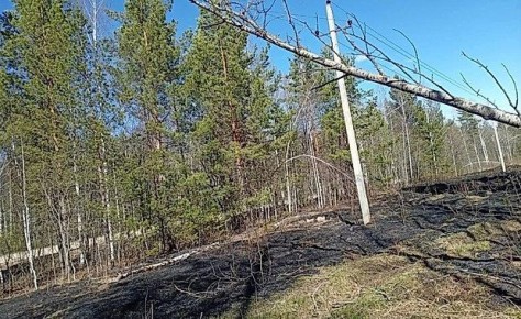 � ���������� ������ ������������� ���� ������� ������