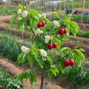 ������� ��������� ������ �����: ��� ������ ������ ��� ����������