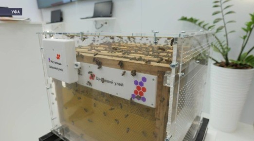 � ��� ����������� ��������� ���� � ������ �������� ��������� ������������