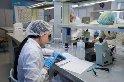 ���������� ���������� � ������� ������� ��������� ������ �� ����������������� ���������� ����� ��������� ���������