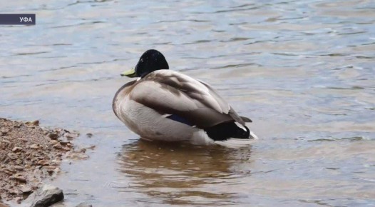 � �������� ��������� ����� � ��������� ��������