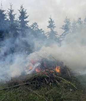 � �������� ����� ����������� ������ ��������������� �����