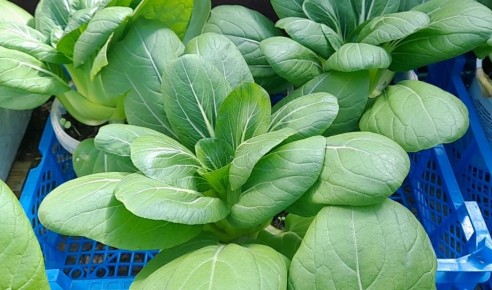 ��� ��������� ���-��� �����: ������� ��������� ������ �� 30 ����